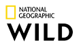 national geographic wild 2023 70